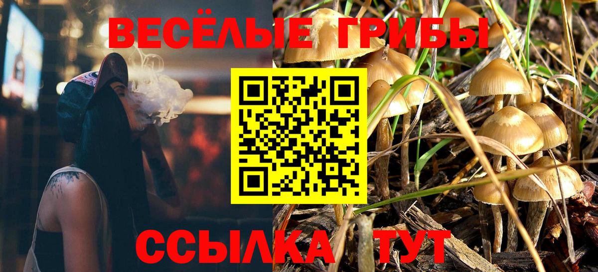 Тамбов  Псилоцибиновые грибы Psilocybine cubensis  Вход с VPN 